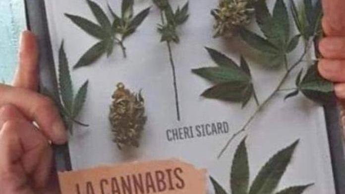 Cannabis per cibi e cosmetici Ternelli: «Ecco cosa è legale»