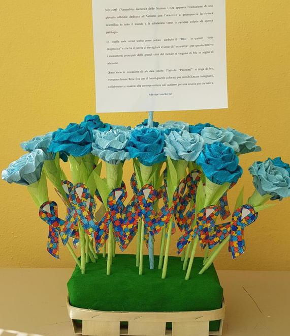 Le Rose blu del Pacinotti All’istituto di Bagnone una giornata “del dono”