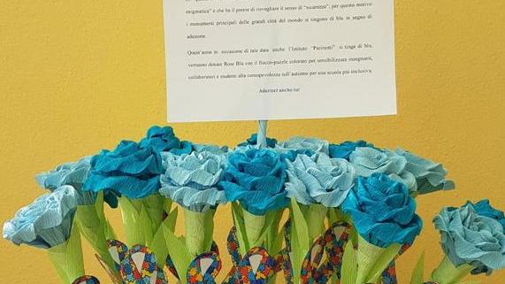 Le Rose blu del Pacinotti All’istituto di Bagnone una giornata “del dono”