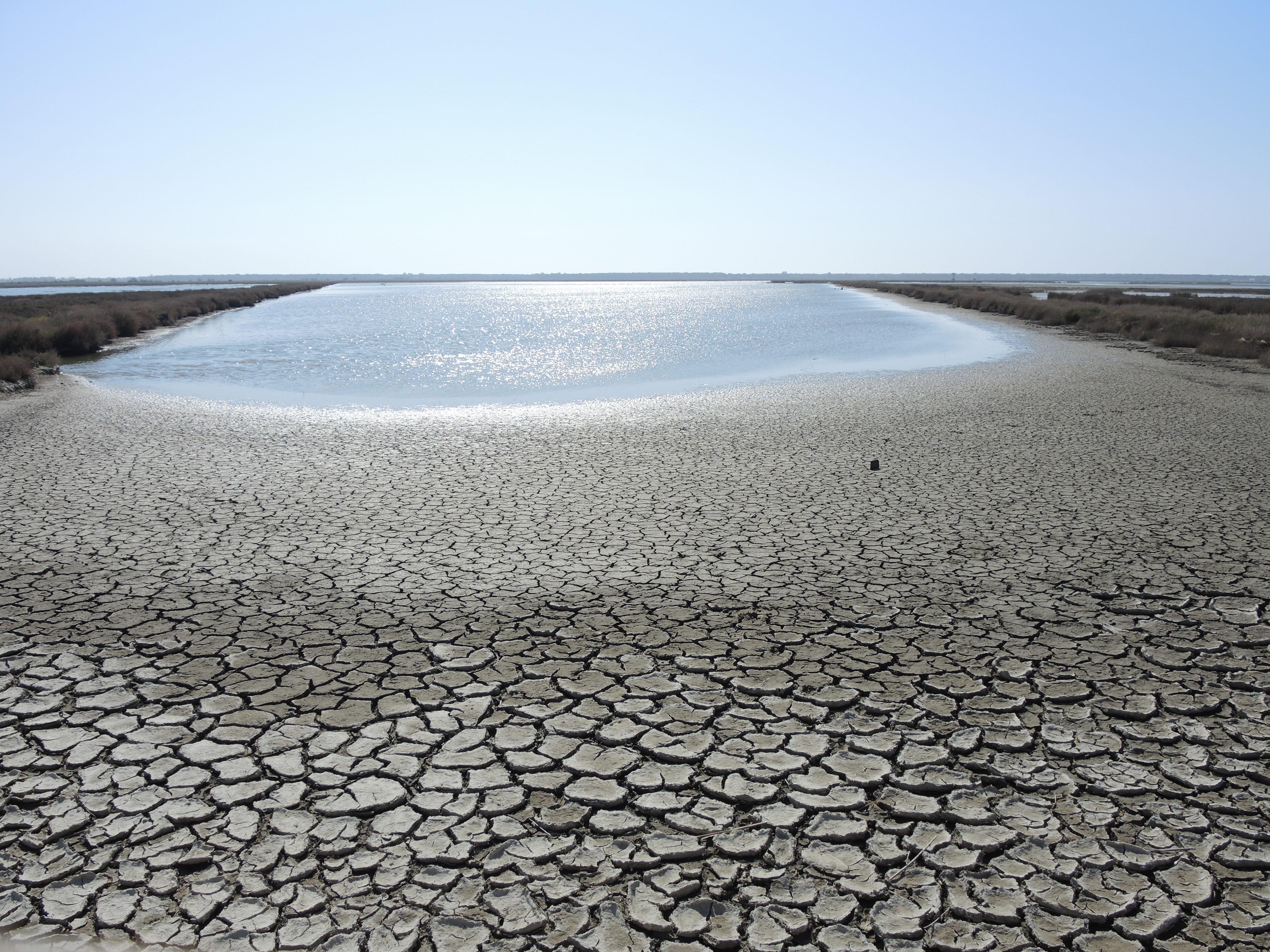 L'Autorità idrica toscana lancia l'appello: "Risparmiare acqua nei locali aperti al pubblico"  