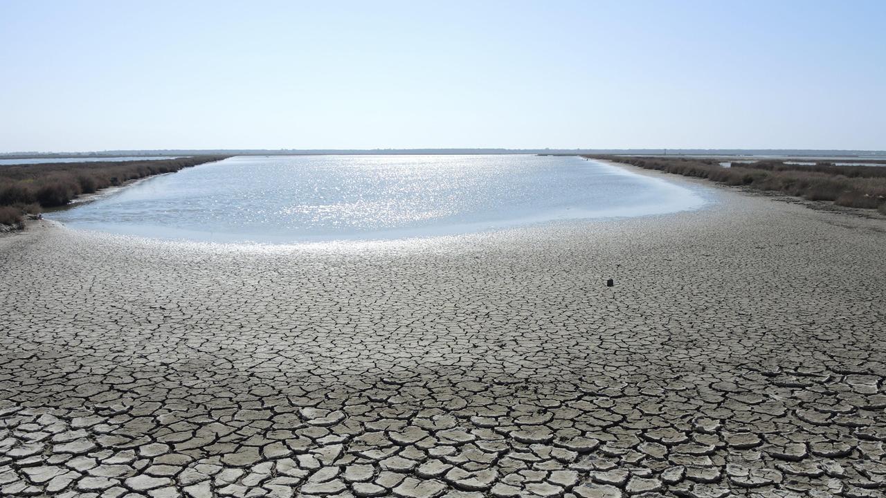 L'Autorità idrica toscana lancia l'appello: "Risparmiare acqua nei locali aperti al pubblico"