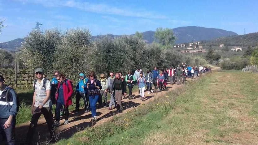 Passeggiata per 160 così la lista Aps prepara le elezioni