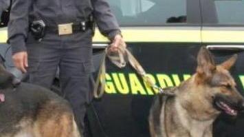 Fermato con la cocaina, 50enne ai domiciliari