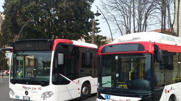 Pullman elettrici con biglietto a bordo E di sera scattano le corse gratuite