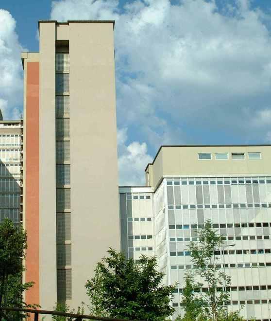 Leucemie e linfomi, l’Ail vende le uova pasquali 