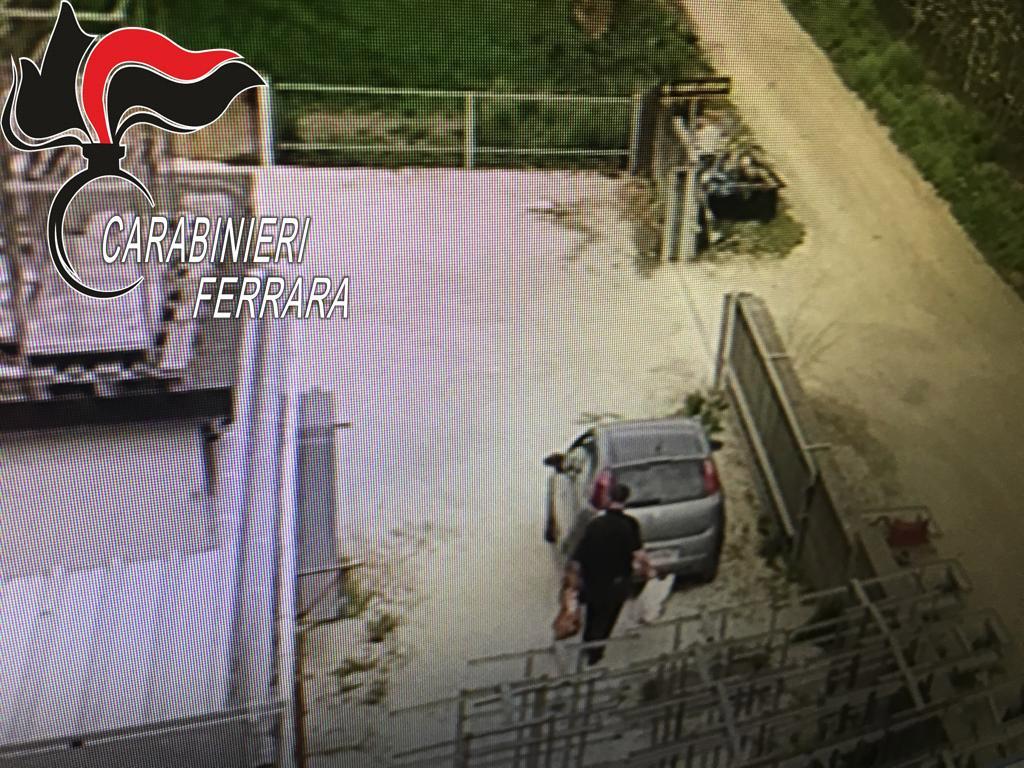 Rubava nella ditta dove lavorava, arrestato