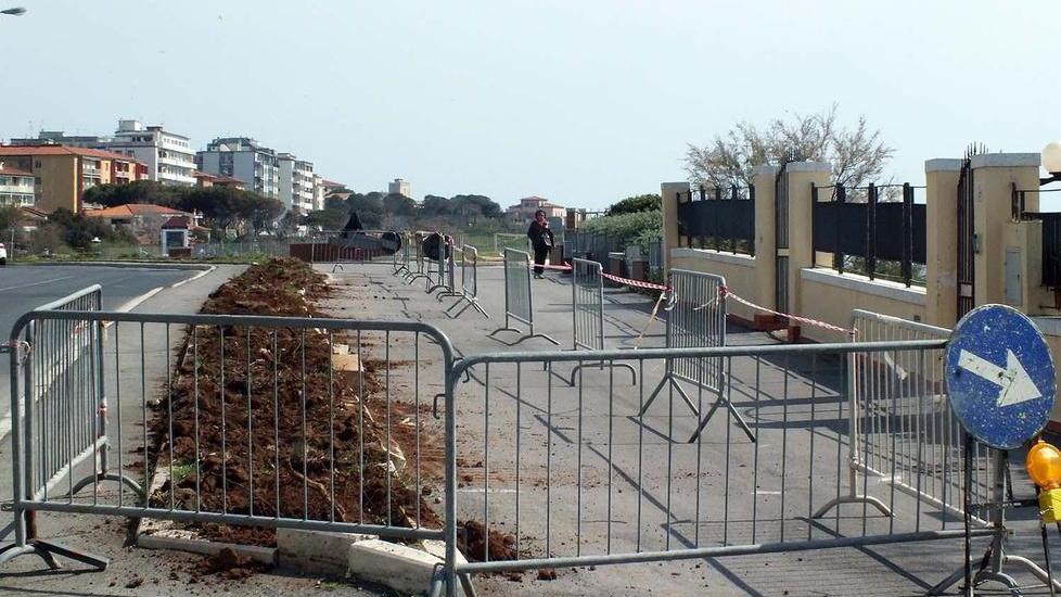 Al posto di oleandri palme nane e un prato