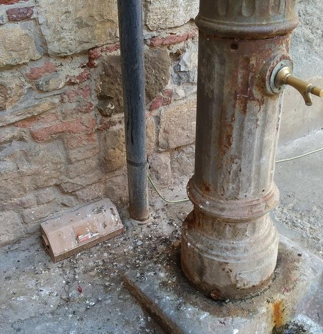 Piccioni e guano problema irrisolto 