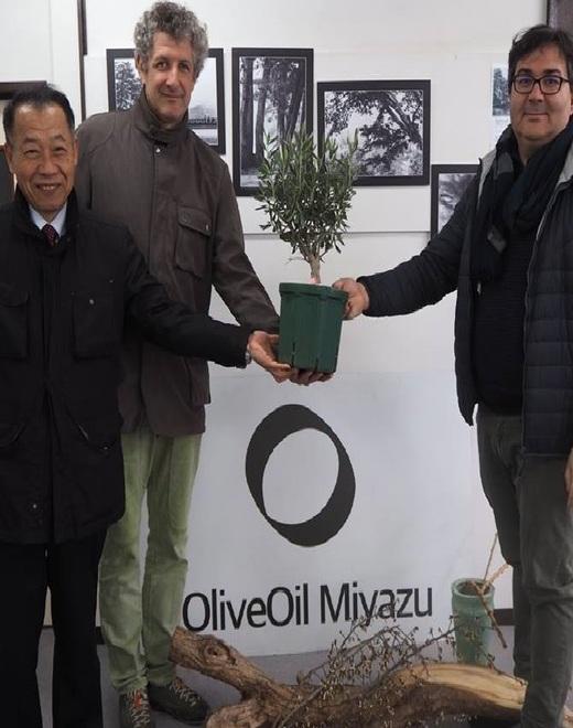Dodici magnifici assaggi di olio di olivastra con gli amici giapponesi 