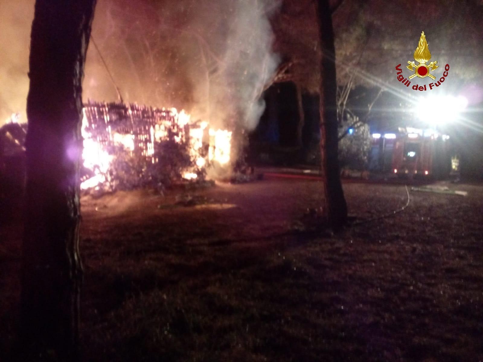 Incendio distrugge appartamento: salvi 5 cani
