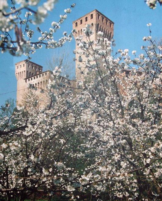 Festa dei ciliegi in fiore Sette carri interpretano la “magia” di Vignola 