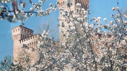 Festa dei ciliegi in fiore Sette carri interpretano la “magia” di Vignola