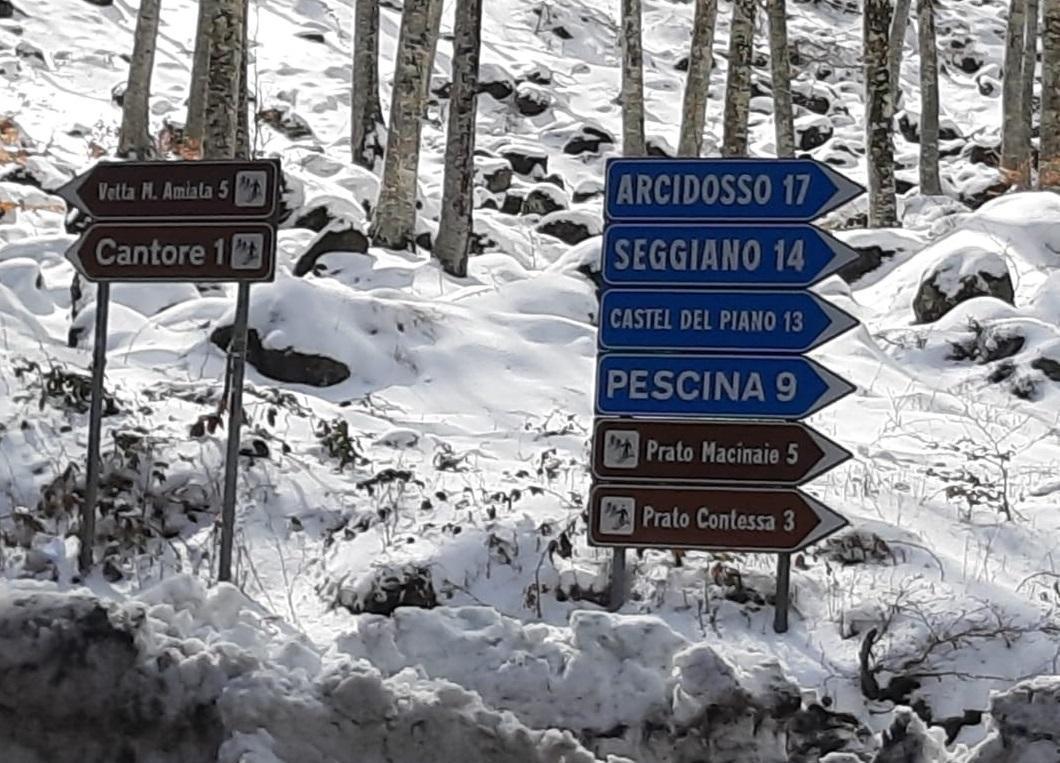 Neve d'aprile: Amiata e Colline Metallifere si risvegliano in bianco