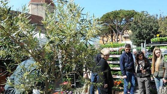 L'edizione dell'anno scorso