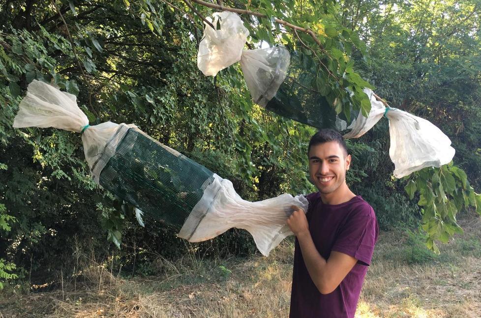 Difesa delle colture, premiato il reggiano Vittorio Manca 