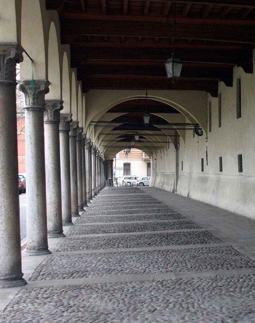 Eleonora Luccarda della San Vincenzo L’importanza di educare