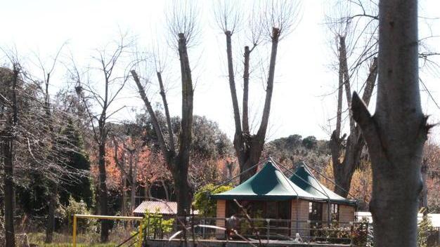 L’ex Circolo Ippico di Viareggio