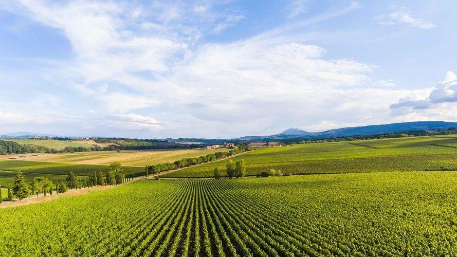 Montepulciano, Val d’Orcia e Val di Chiana: la Toscana da gustare con un calice di Nobile