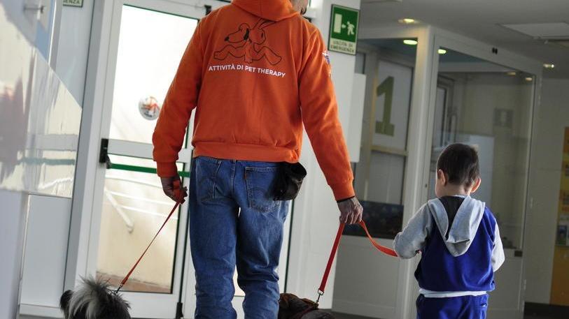 Kato restituì la voglia di mangiare a Luigi Polpetta sa muoversi in rianimazione