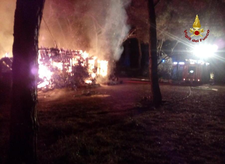 Incendio distrugge un canile, salvi 5 cani Uno si è ustionato