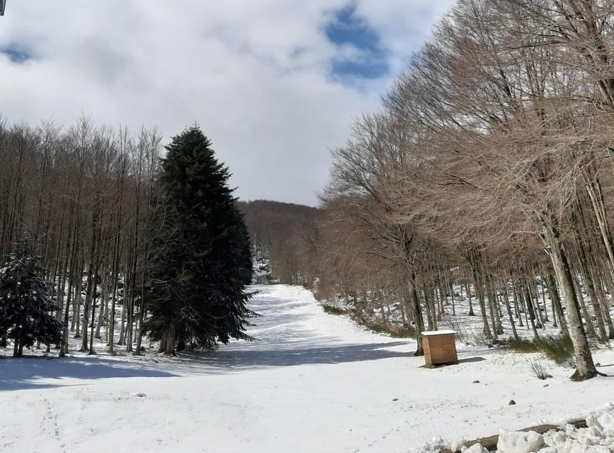 Fiori di ciliegio coperti di neve: aprile pazzo 