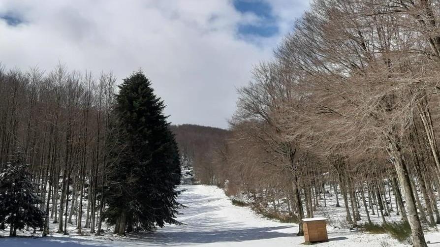 Fiori di ciliegio coperti di neve: aprile pazzo