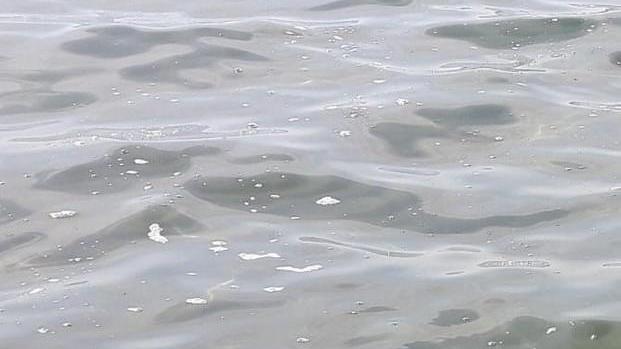 Schiuma ad Ansedonia La capitaneria rassicura «È solo muco di mare»