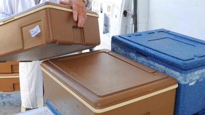 Le formiche scorrazzano tra i piatti dei bimbi