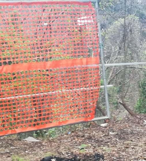 Rovi, topi e un rudere abbandonato, a Bedizzano scatta la pulizia “fai da te” 