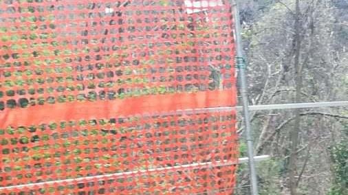 Rovi, topi e un rudere abbandonato, a Bedizzano scatta la pulizia “fai da te”