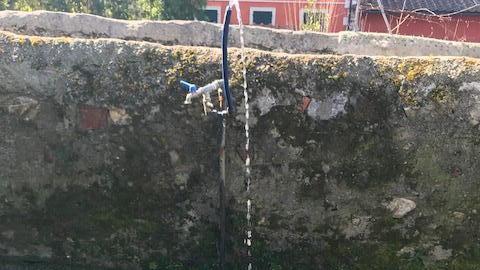 Fontanelle sempre aperte Gaia: si pulisce l’acqua dal tallio