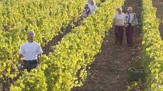 Export, degustazioni e bollicine le nostre aziende al Vinitaly