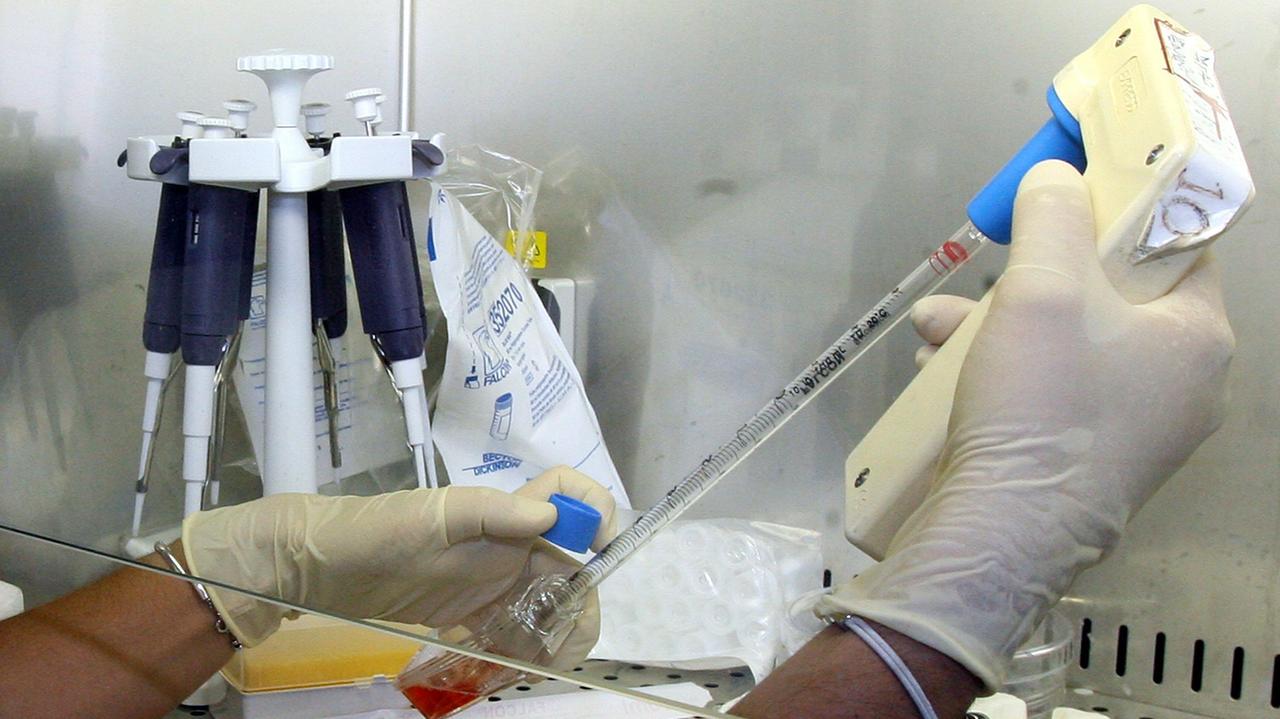 Incompatibilità di sangue tra mamma e feto: piccolo nasce sano dopo le cure al Misericordia e al Gemelli