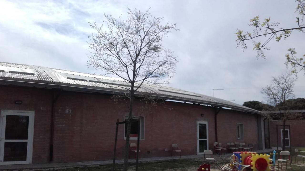 Topi a scuola, scatta la chiusura