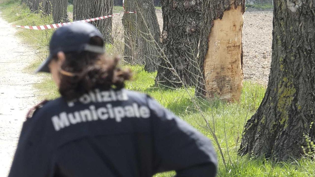 Un'agente di polizia municipale (foto d'archivio)