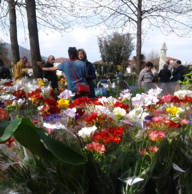 Oltre 16mila persone alla mostra mercato di VerdeMura 