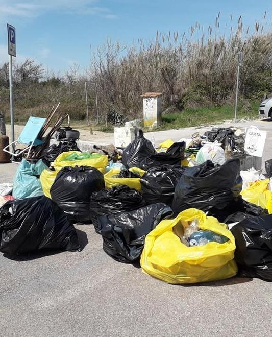 I ragazzi puliscono la Lecciona: oltre trenta sacchi di rifiuti 