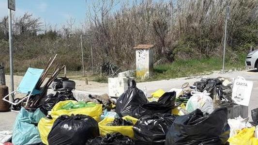 I ragazzi puliscono la Lecciona: oltre trenta sacchi di rifiuti
