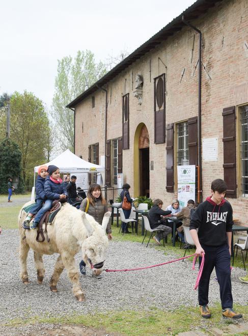 Una domenica con l’Aima
