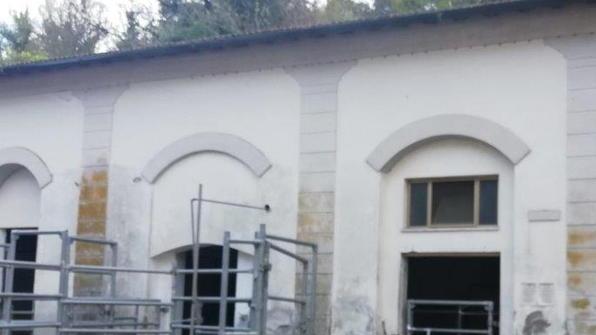 Riapre il vecchio mattatoio Si punta tutto sulla filiera corta