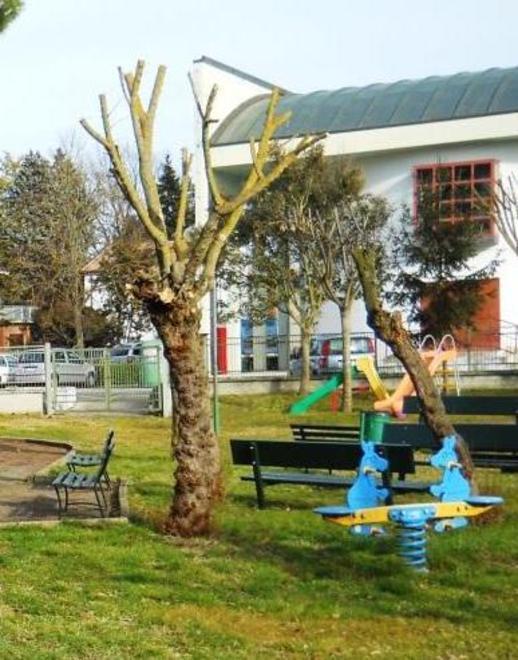 Centro sociale a rischio «Servono volontari altrimenti chiudiamo» 