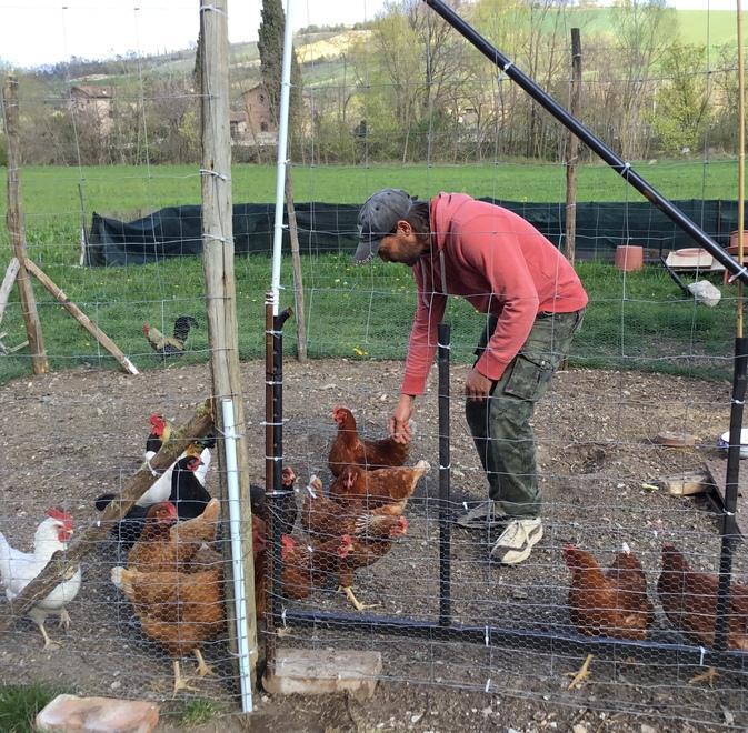 Castelvetro, Mauro Tosi, quando la vocazione per l’agricoltura si scopre a 40 anni