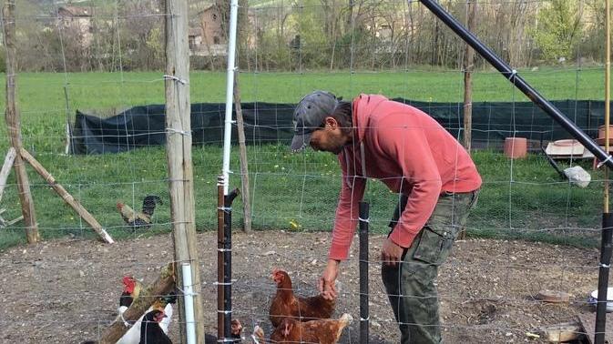 Castelvetro, Mauro Tosi, quando la vocazione per l’agricoltura si scopre a 40 anni