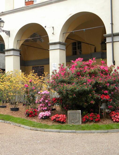 Borgo, due giorni all’insegna della festa con “My Flower” 