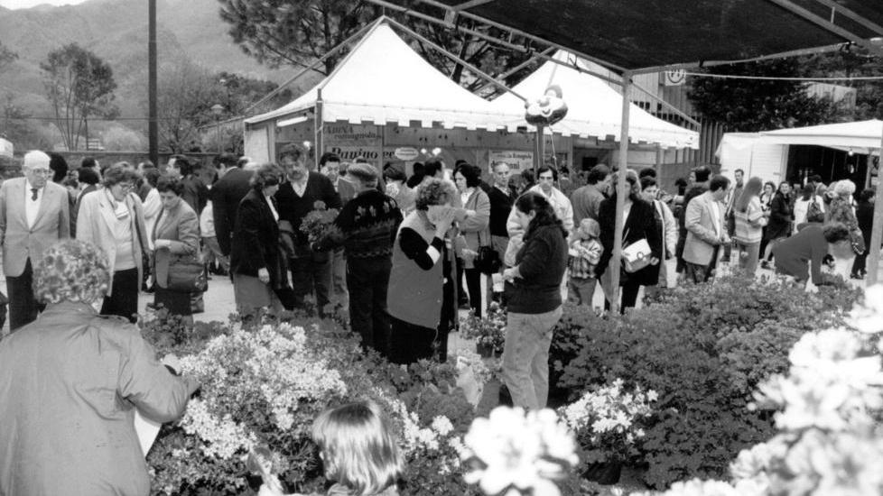 Azalea, la festa nel 2020