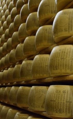 Alla scoperta dei Caseifici modenesi e del Parmigiano Reggiano 