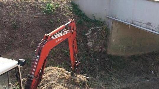 Argine del rio Leccio, stanziati 60.000 euro