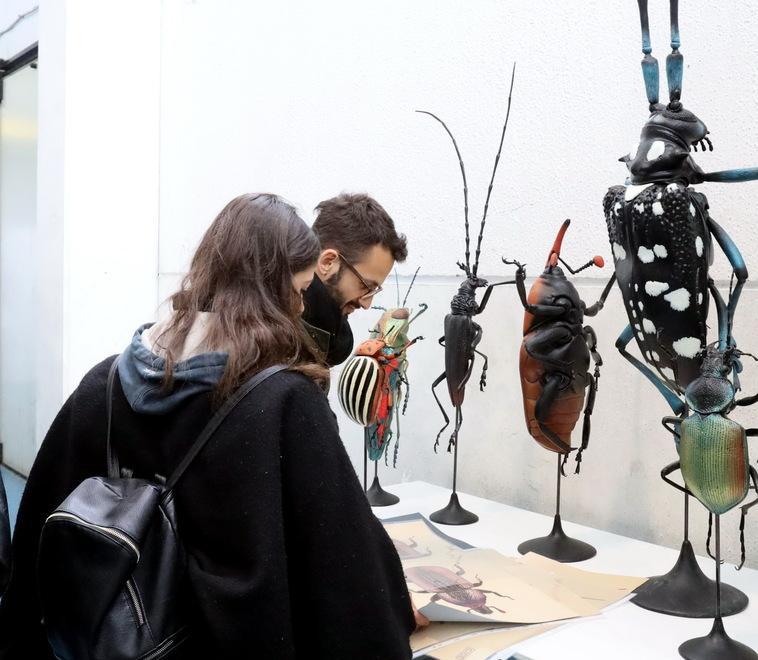 Insetti che passione, EntoModena fa il pieno di visitatori