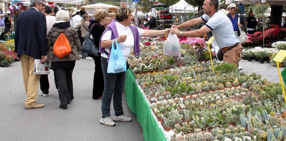 Domani torna “Marina in fiore”, trionfo della natura 