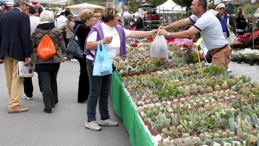 Domani torna “Marina in fiore”, trionfo della natura